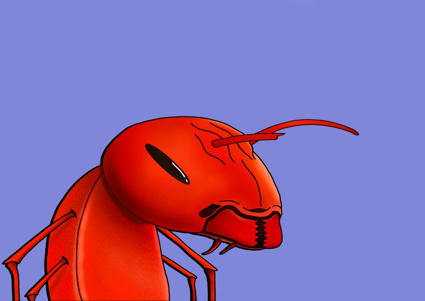 Algo Ant 20 NFT on Algorand