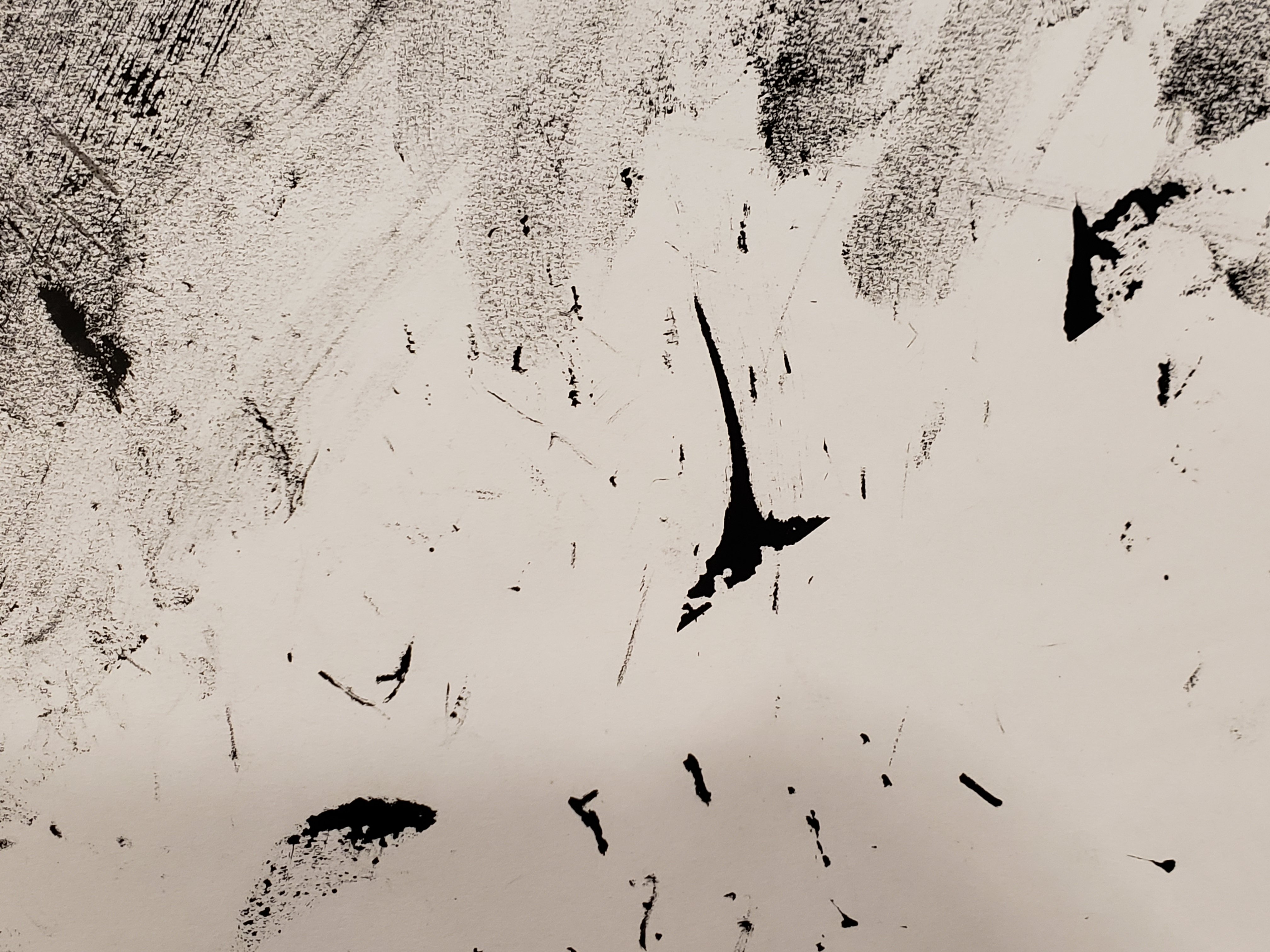 Birb NFT on Algorand