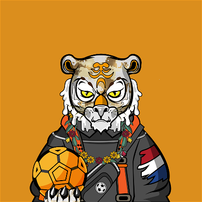 Football TigerChi #0267