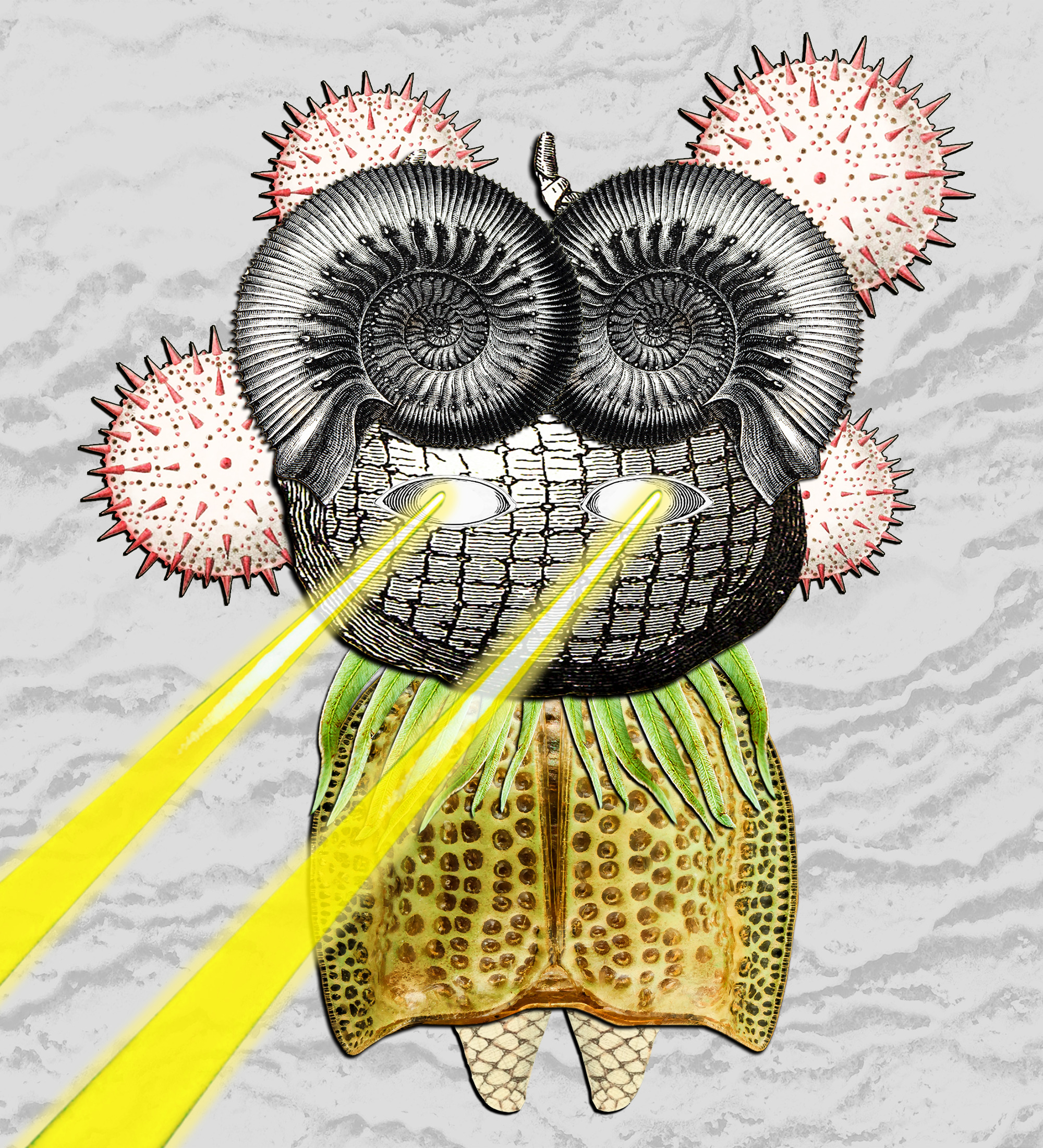 Hopium Warriors #021 NFT on Algorand