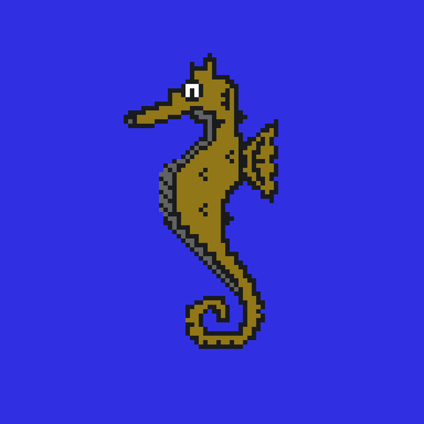 Image of Algo Seahorse #19