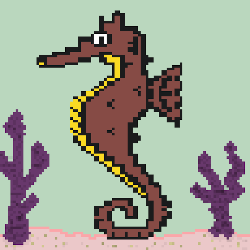 Algo Seahorse #49