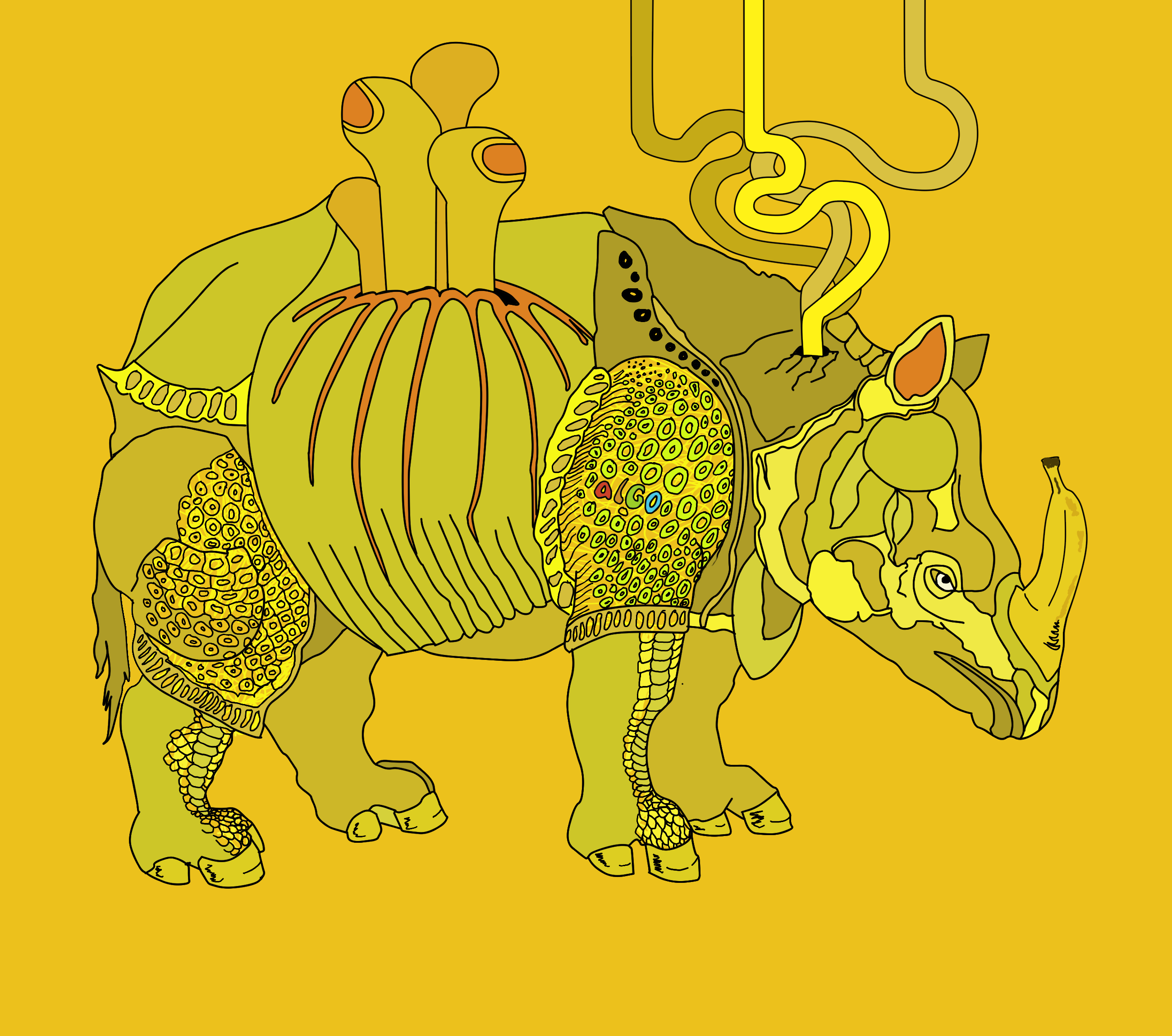 RHINALGANANA NFT on Algorand