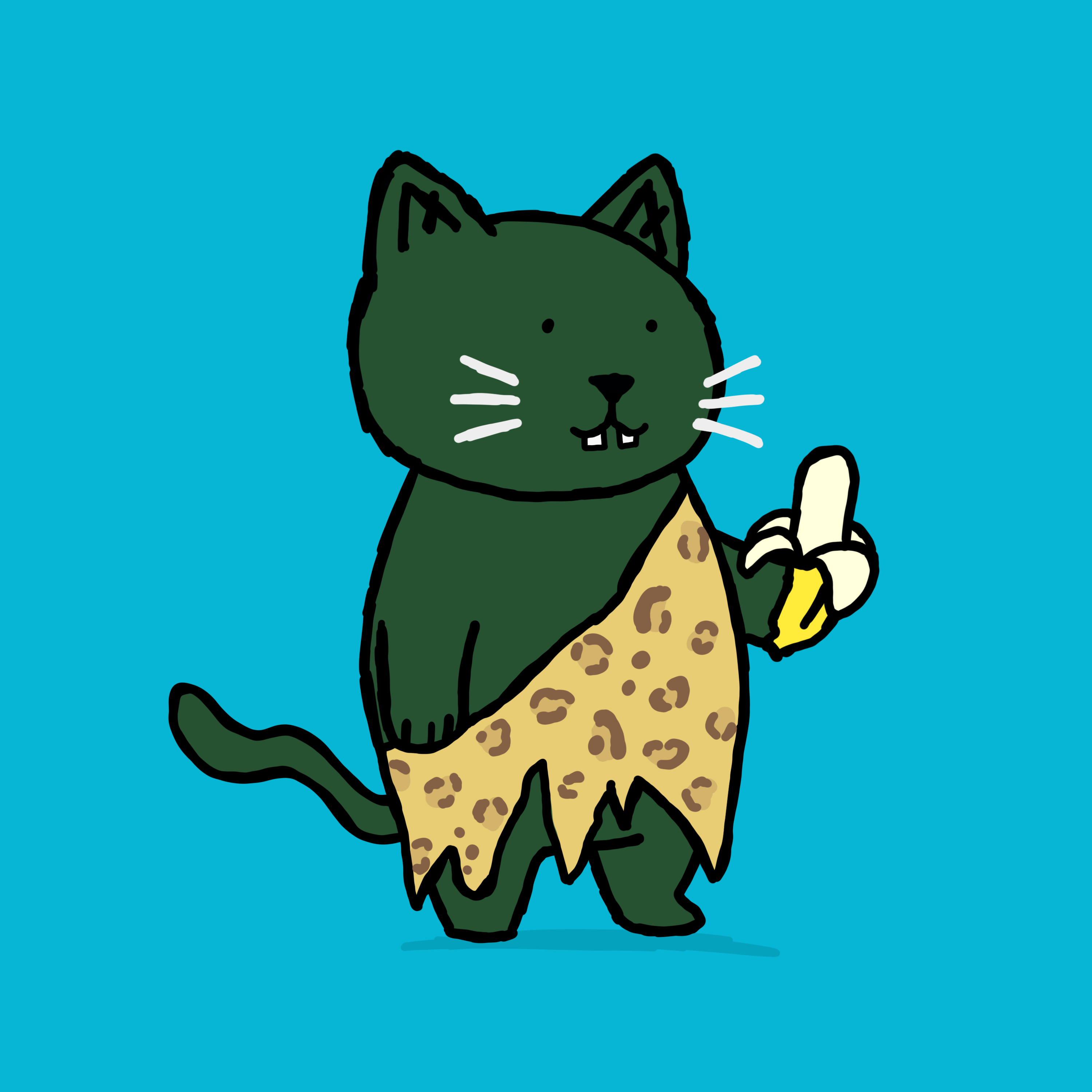 SK4L #816 NFT on Algorand