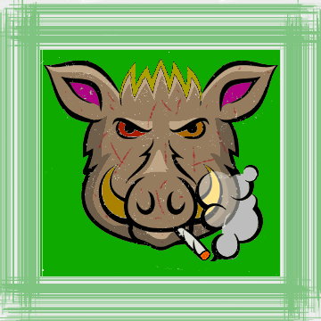 Image of High Hog Reborn #18