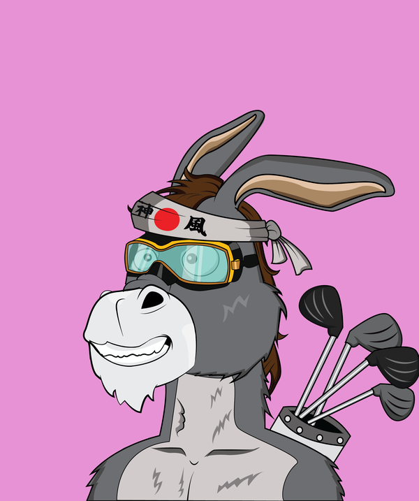 Image of Donkey 40