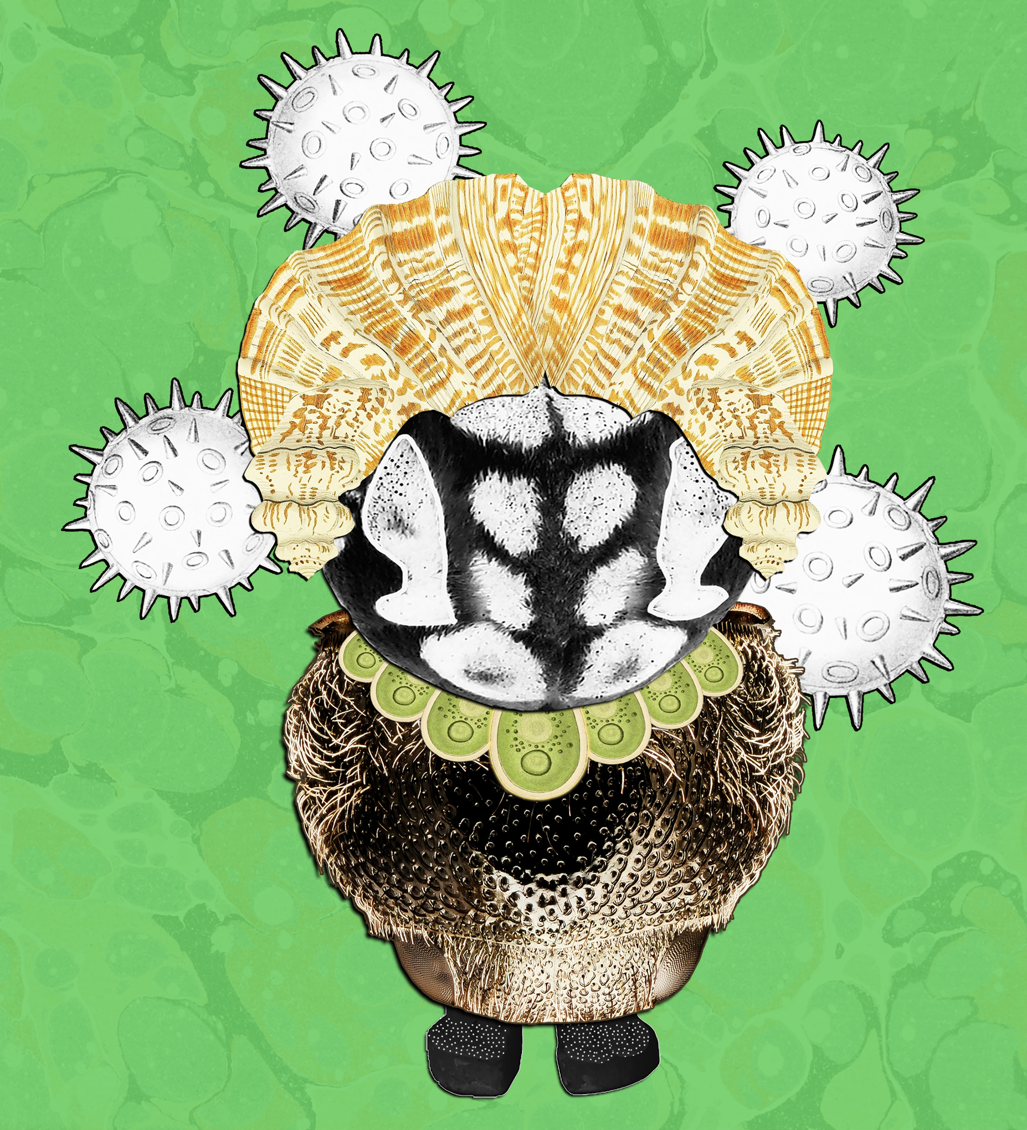 Hopium Warriors #214 NFT on Algorand