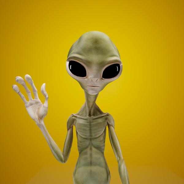 Alien Tourism's avatar