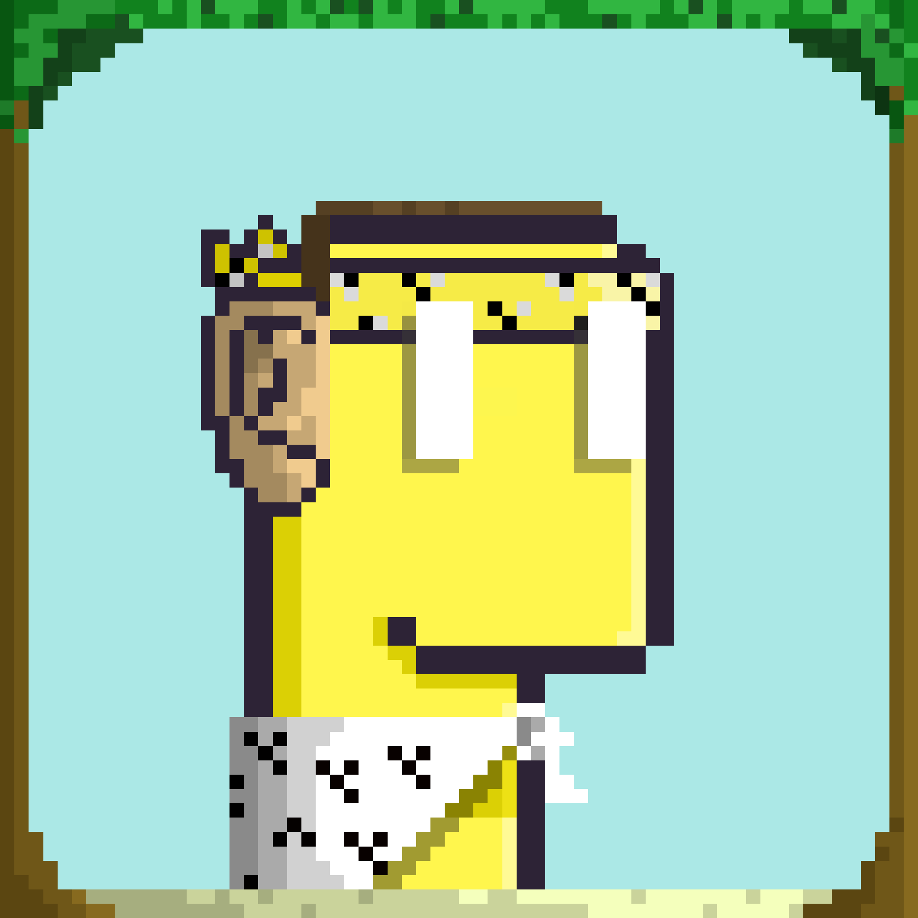 Werb #1251 NFT on Algorand