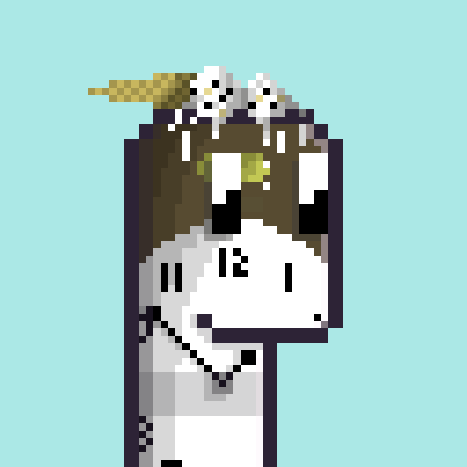 Werb #3020 NFT on Algorand