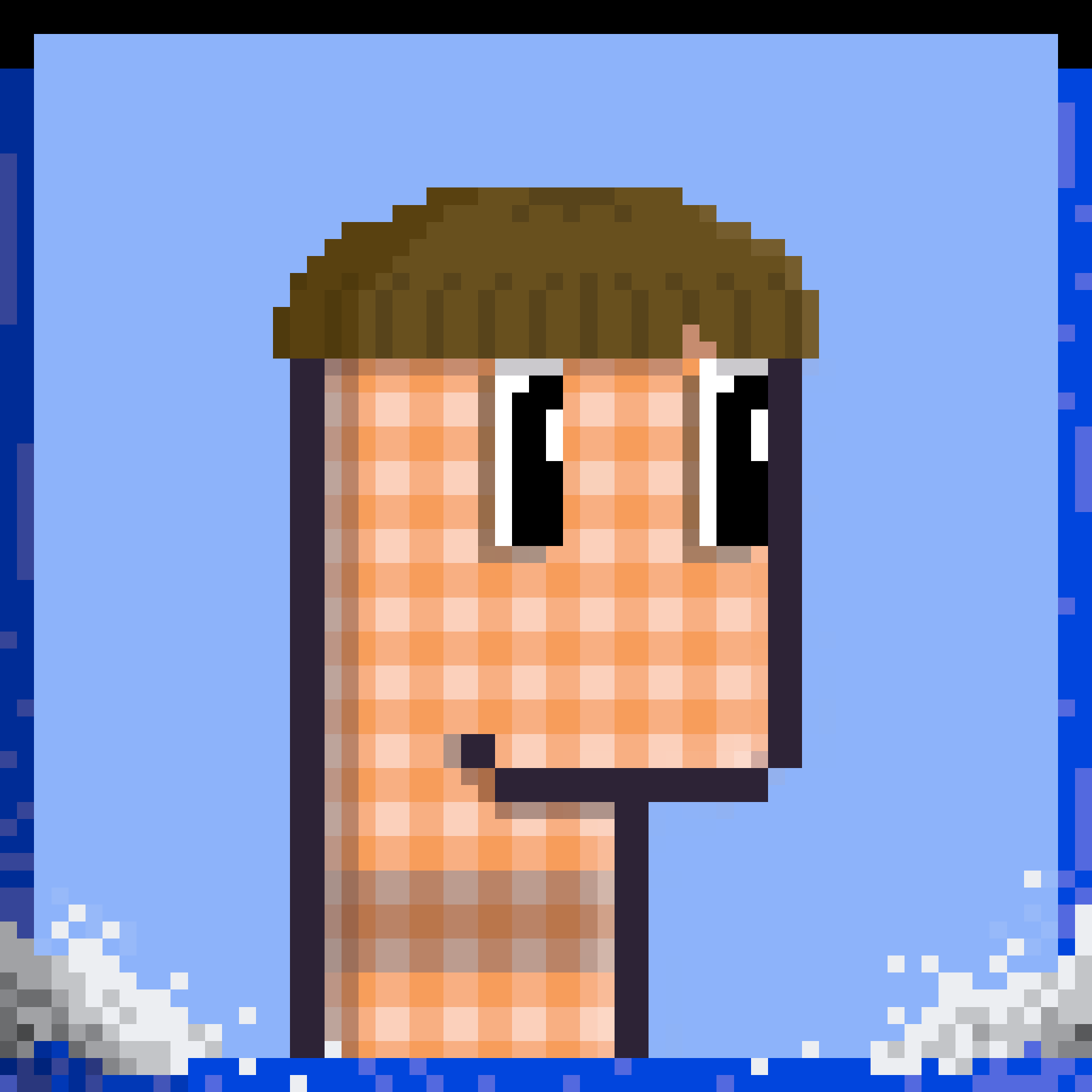 Werb #337 NFT on Algorand