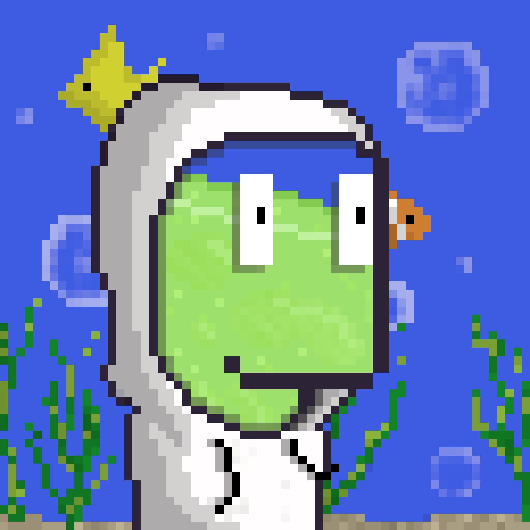 Werb #4827 NFT on Algorand