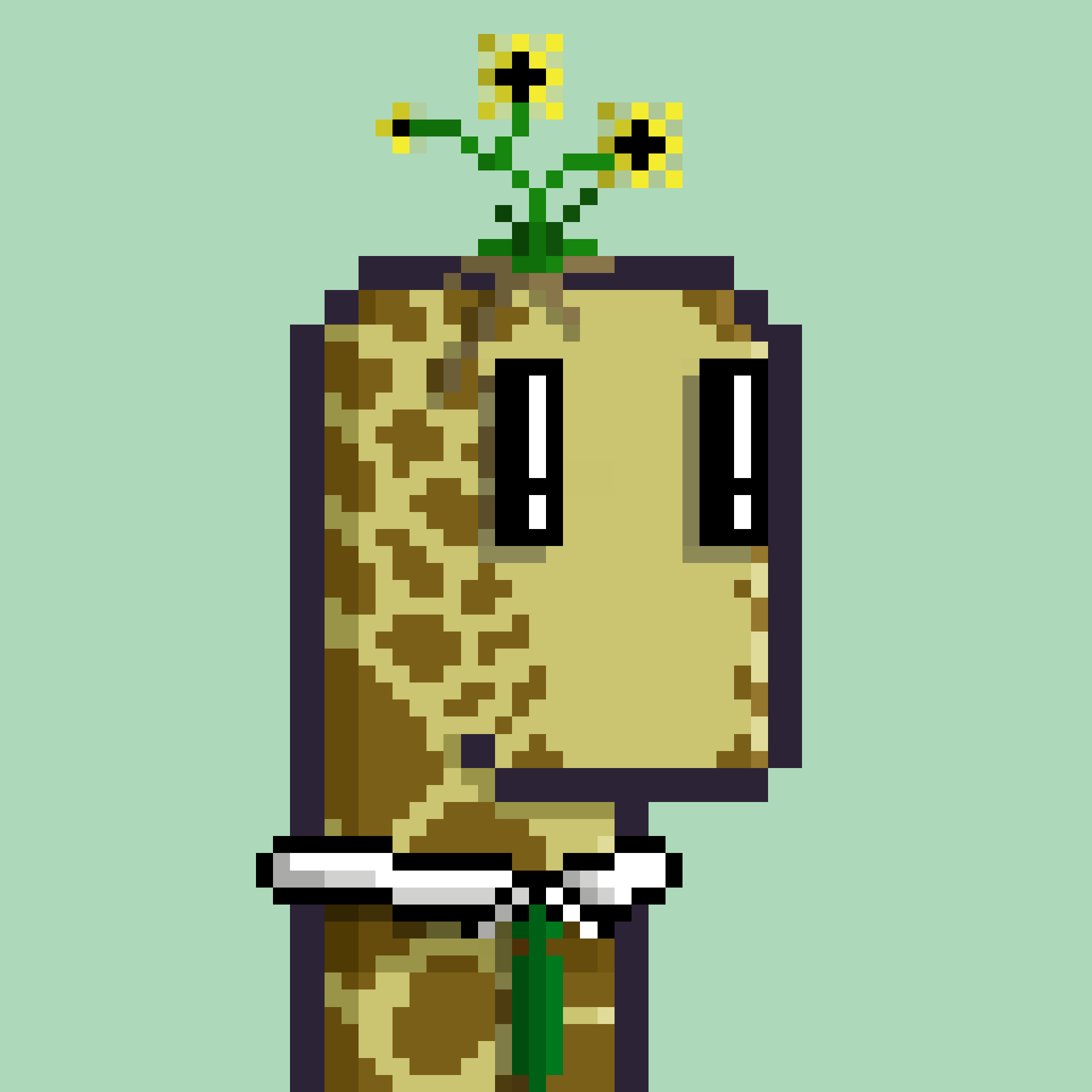 Werb #4870 NFT on Algorand