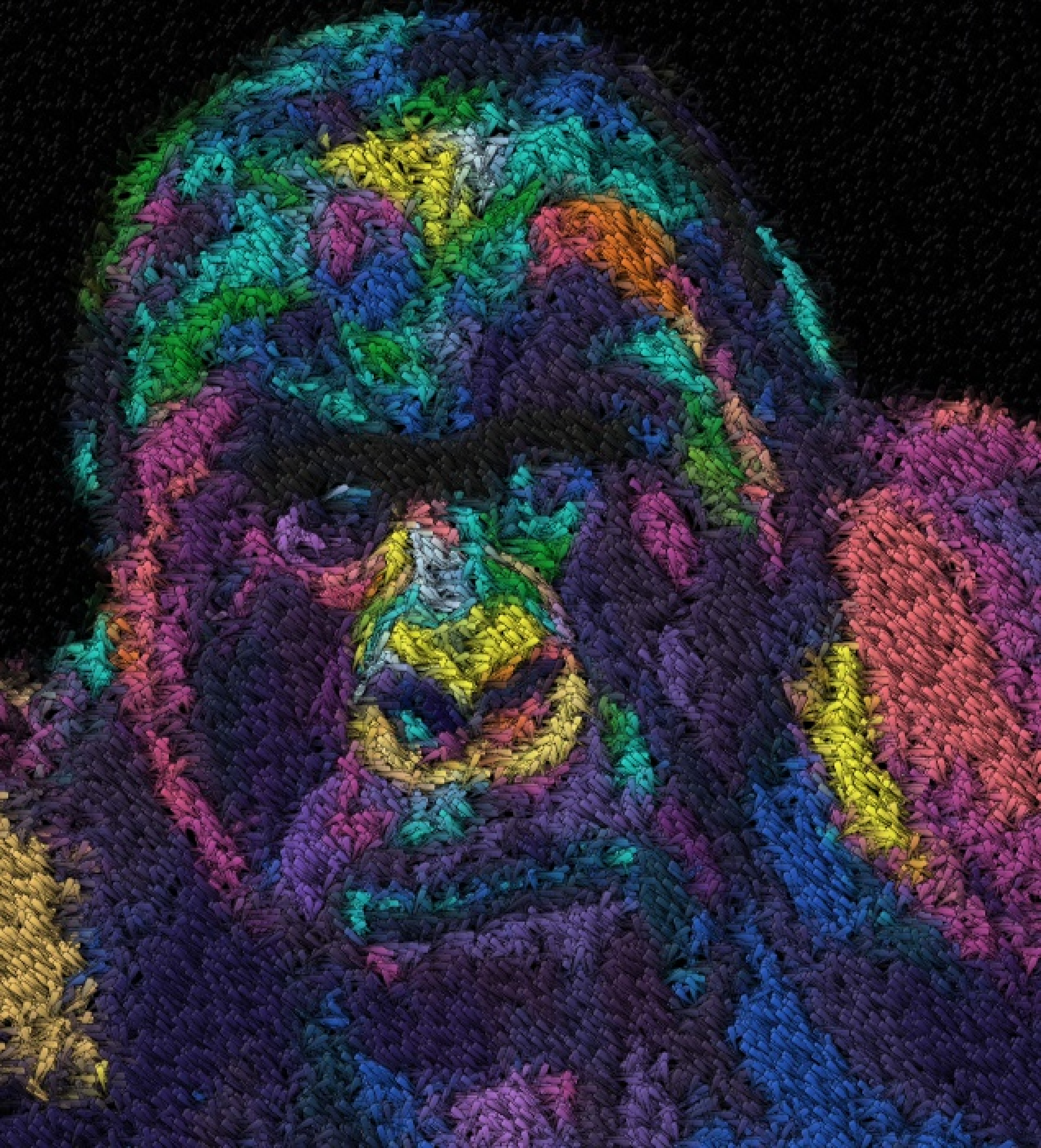 carpet gorilla