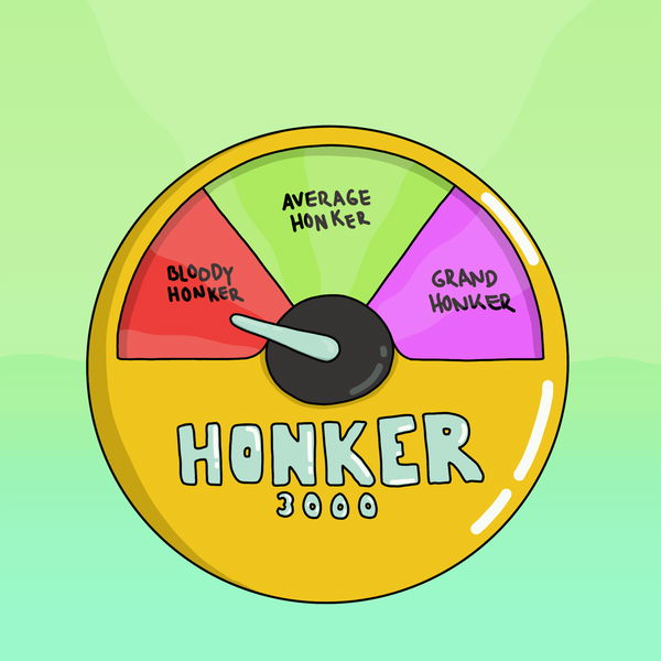 Image of Average Honker