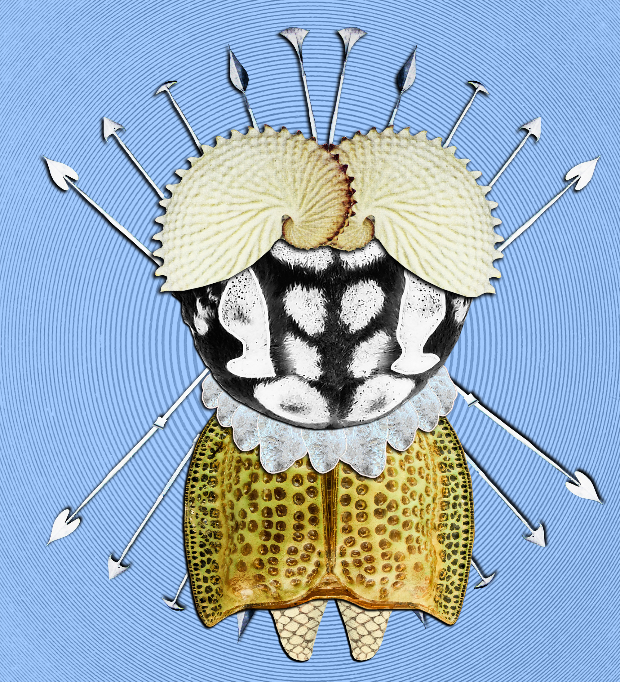 Hopium Warriors #283 NFT on Algorand