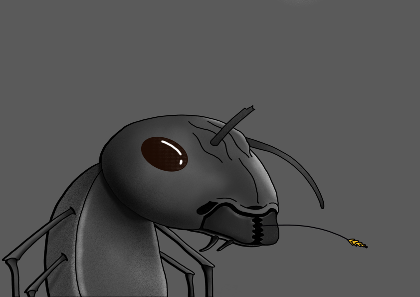 Algo Ant 354 NFT on Algorand