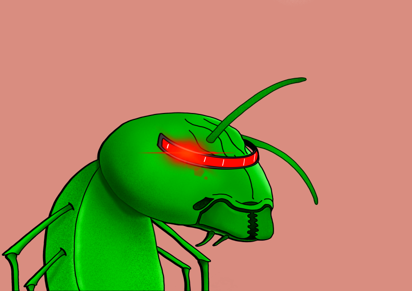 Algo Ant 211 NFT on Algorand