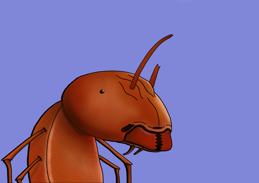 Algo Ant 422 NFT on Algorand