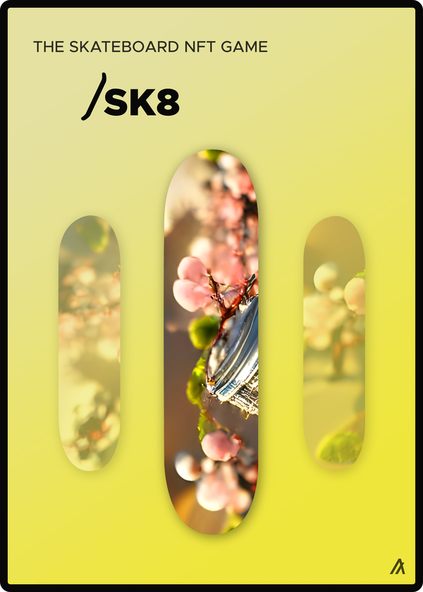 An image of SK8 Deck #020