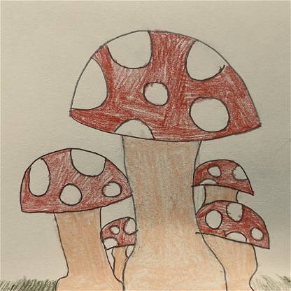 "Add Mushrooms" by Kaisley