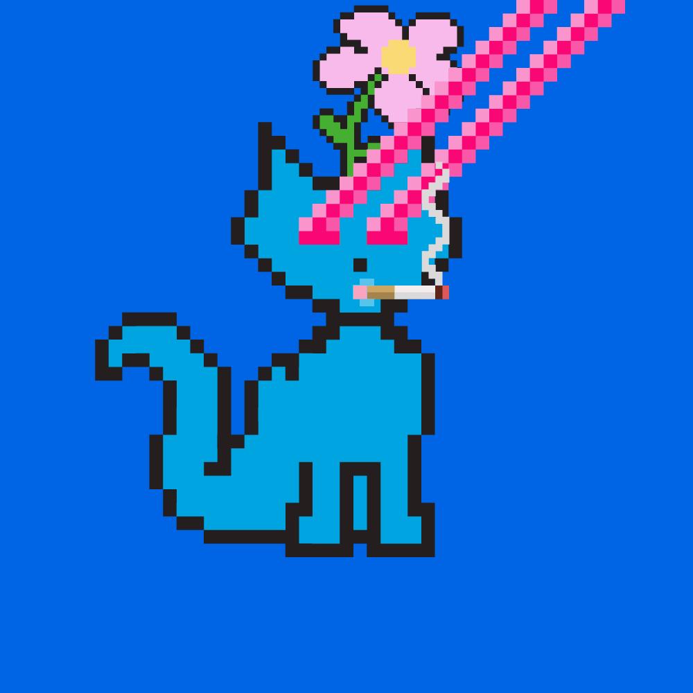 Meowlgo #109 NFT on Algorand