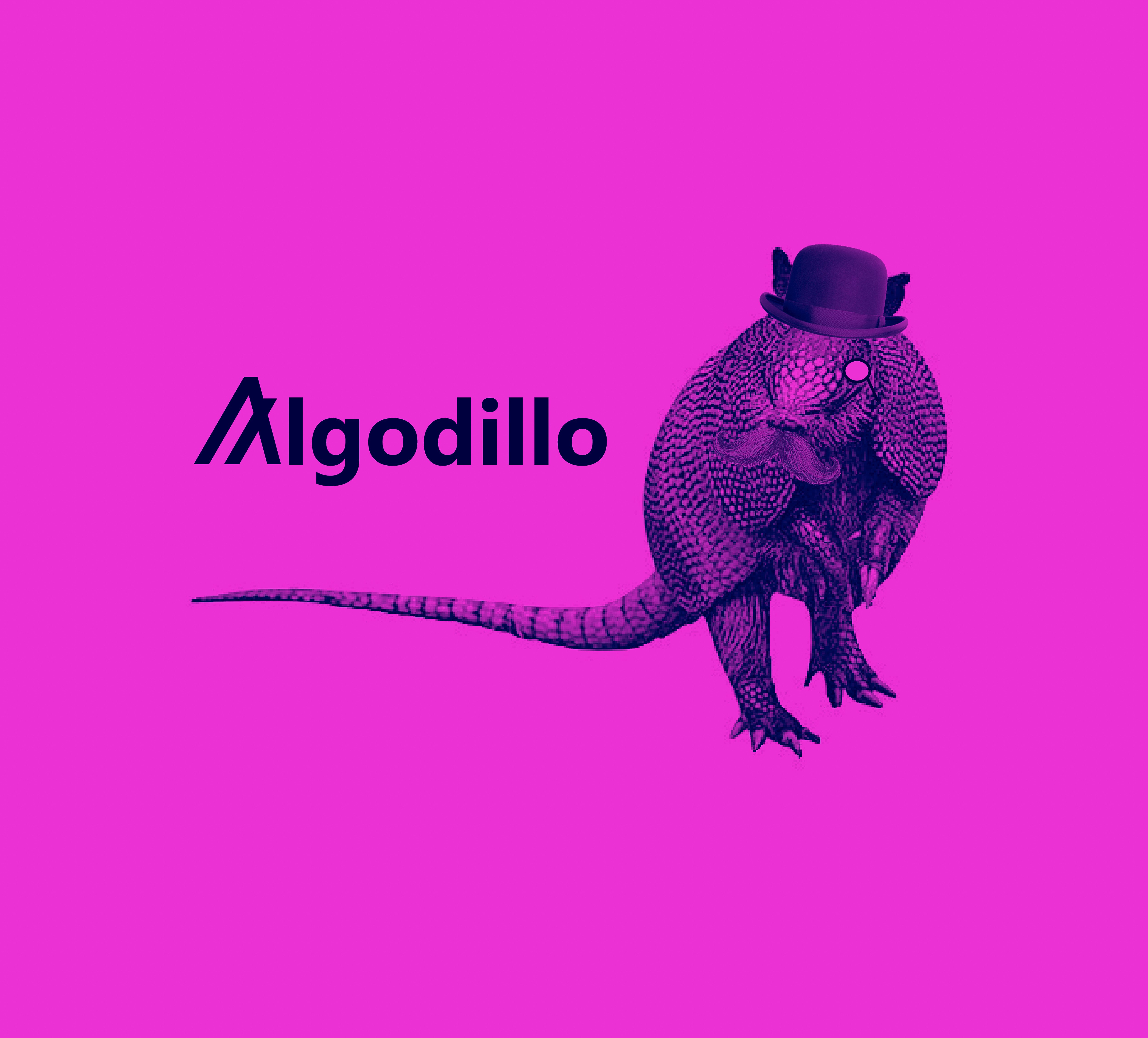 Algodillo #6 NFT on Algorand