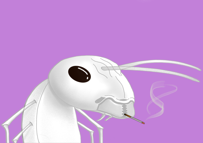 Algo Ant 446 NFT on Algorand