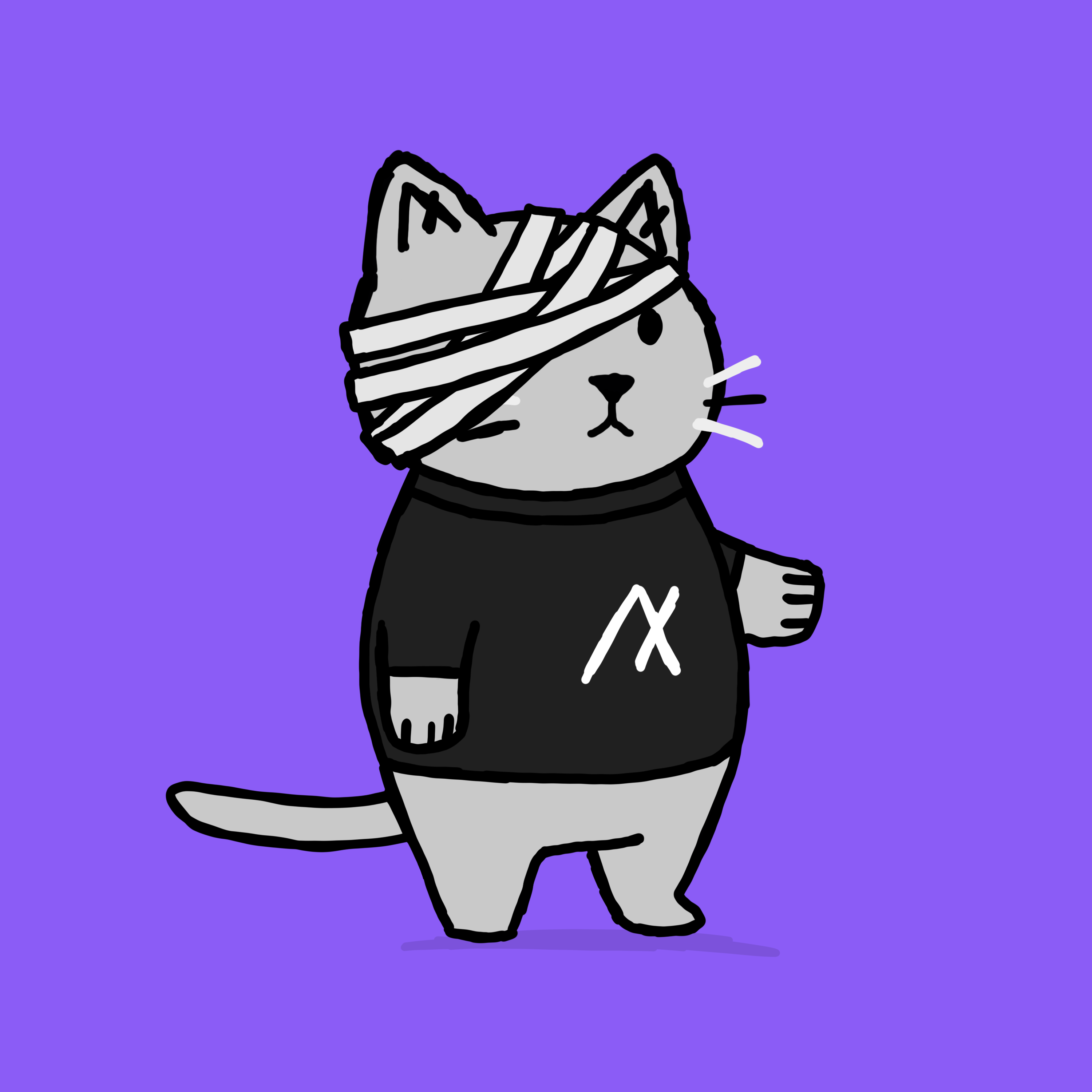 SK4L #1245 NFT on Algorand