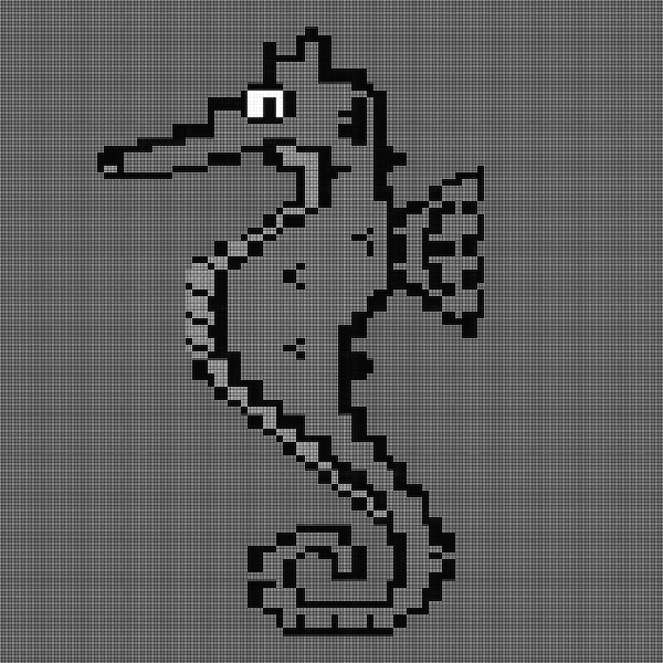 An image of Algo Seahorse #62