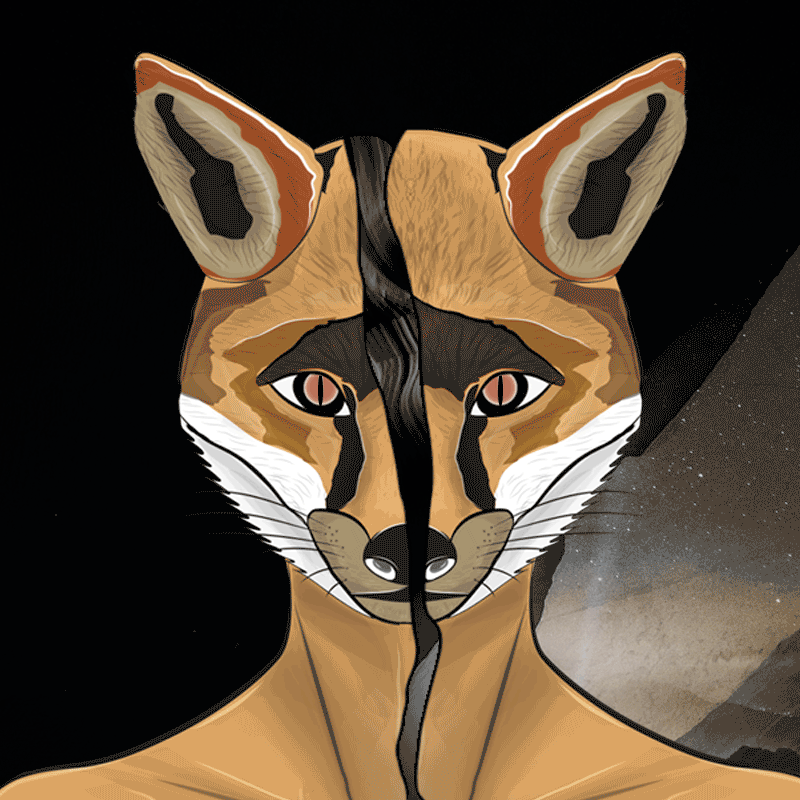 FOX #15