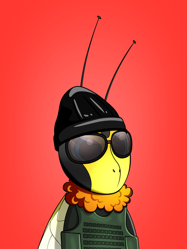 An image of Buzzy Bees 19