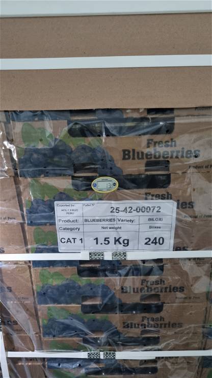 Blueberries 25-42-00072 - temp
