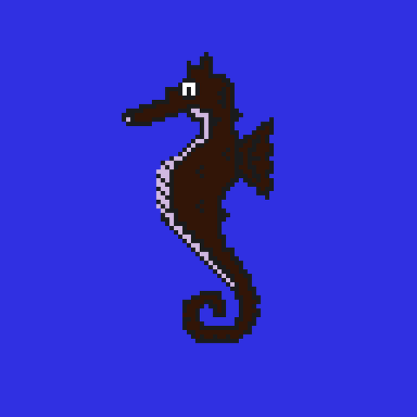 An image of Algo Seahorse #12