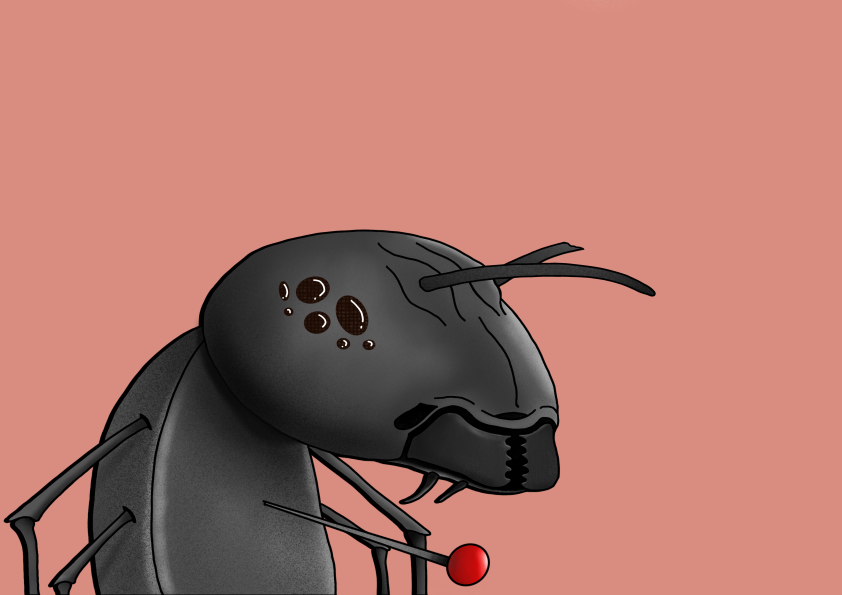 Algo Ant 437 NFT on Algorand