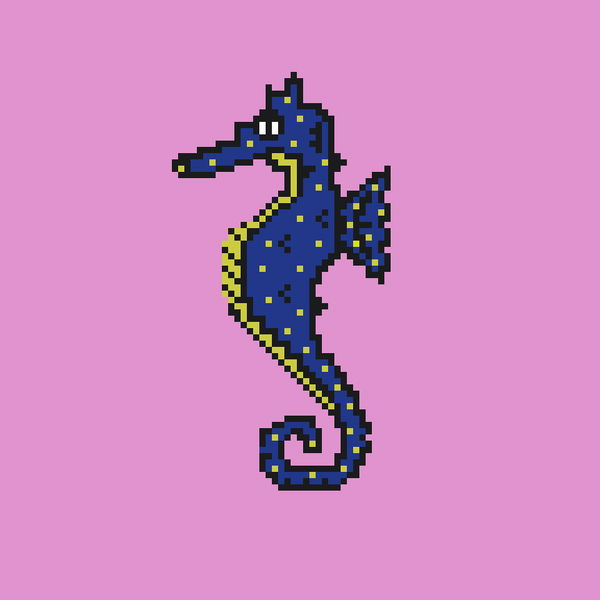 An image of Algo Seahorse #26