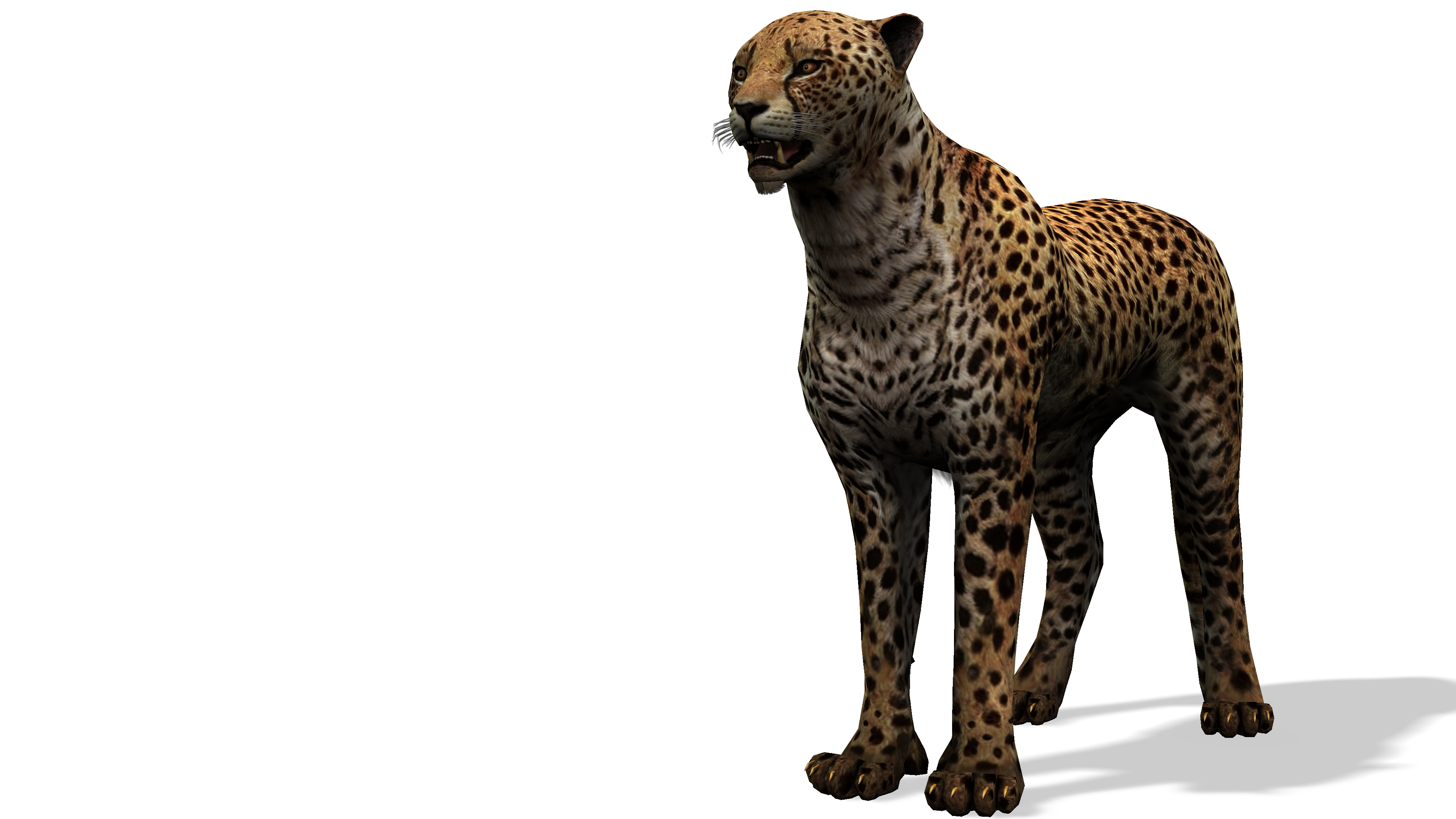 Algoria.io Pet Cheetah