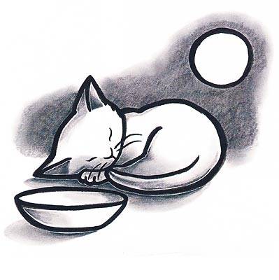 kitten mooning 
