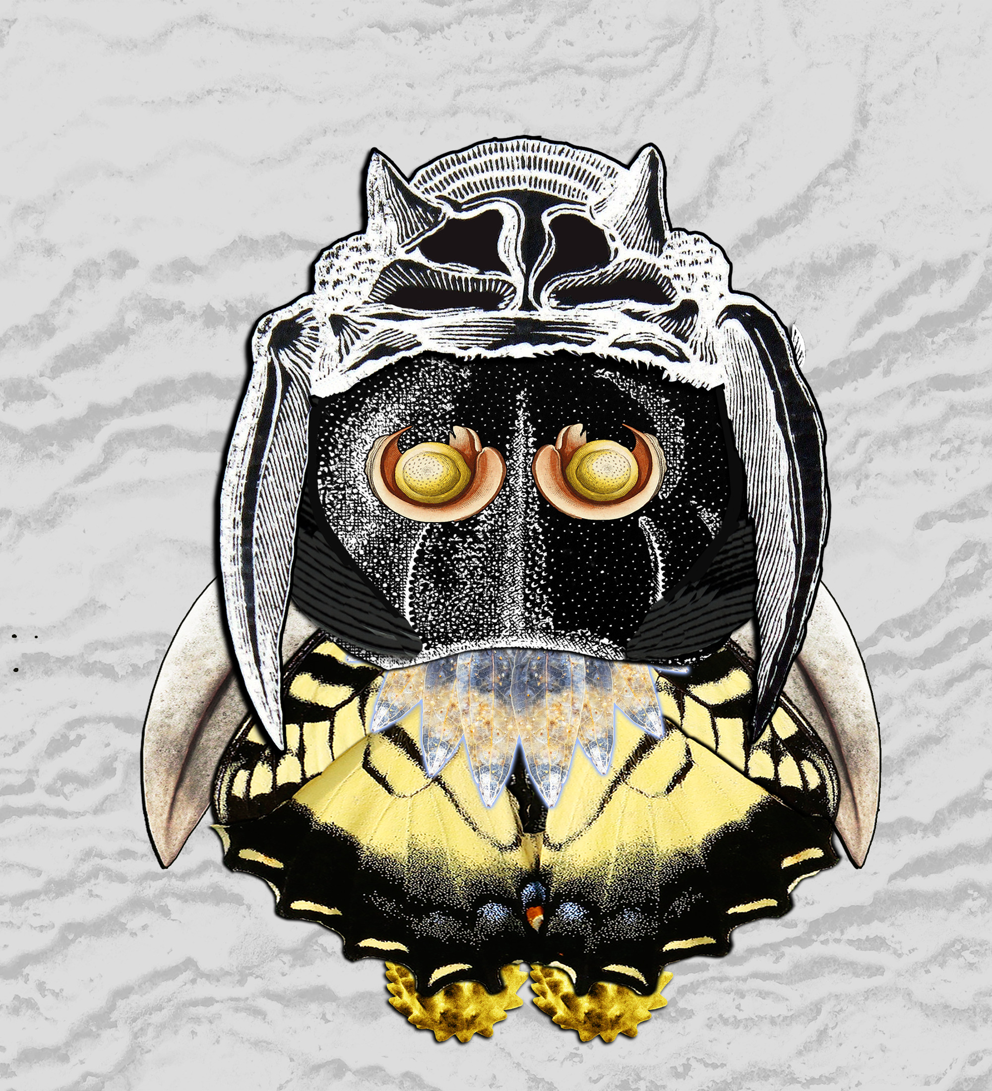 Hopium Warriors #223 NFT on Algorand