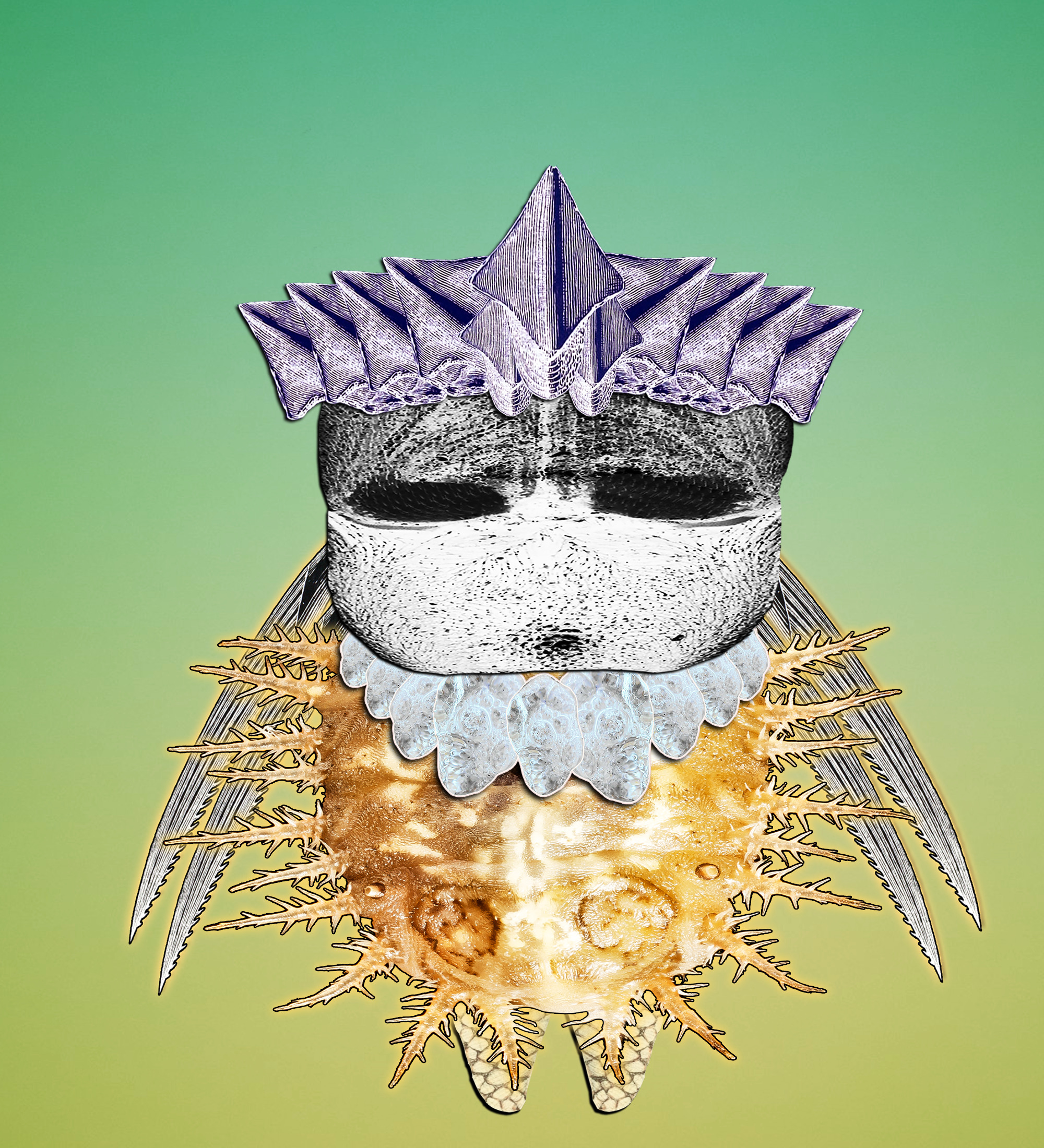 Hopium Warriors #383 NFT on Algorand