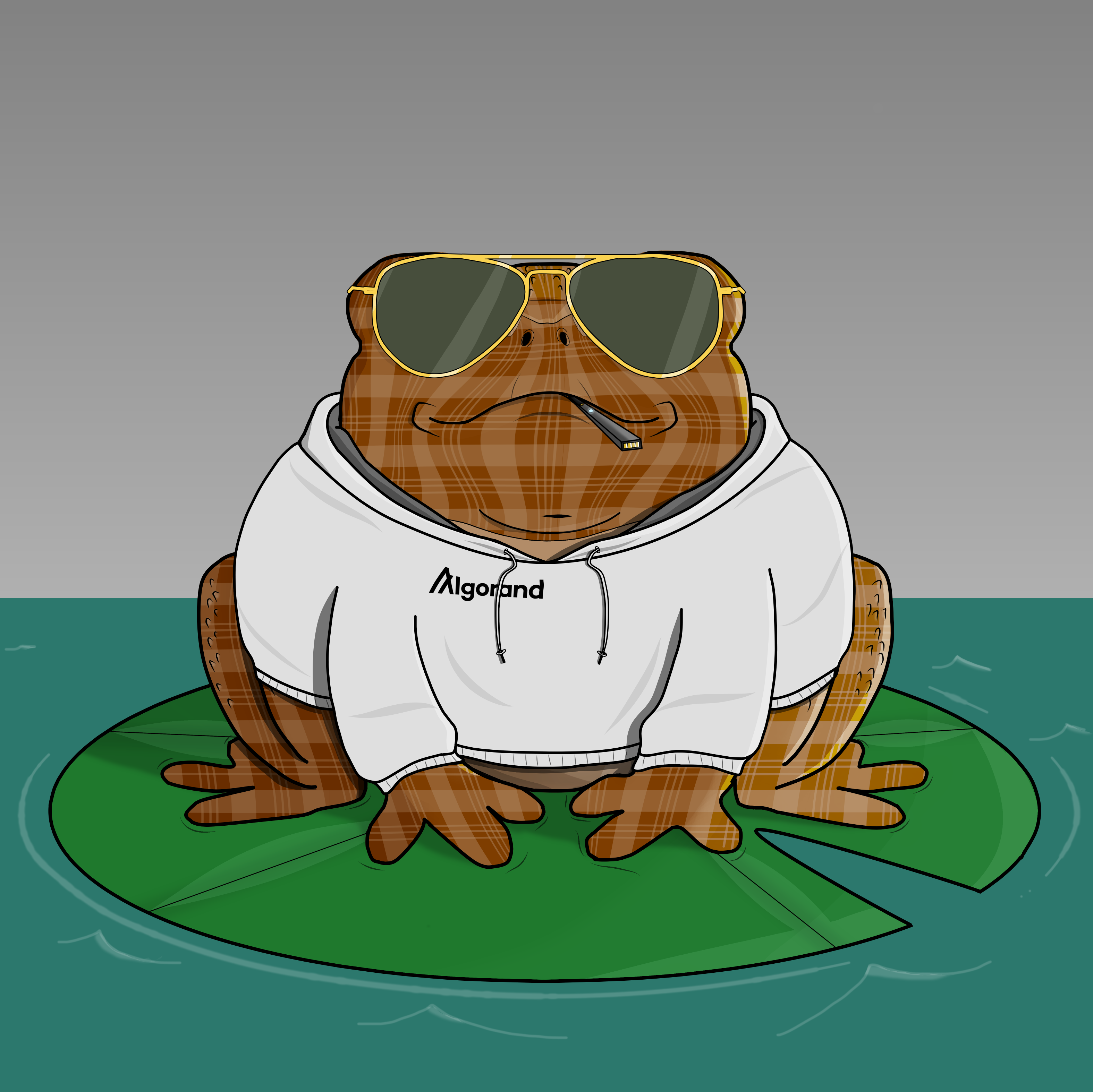 Big Toad 284 NFT on Algorand