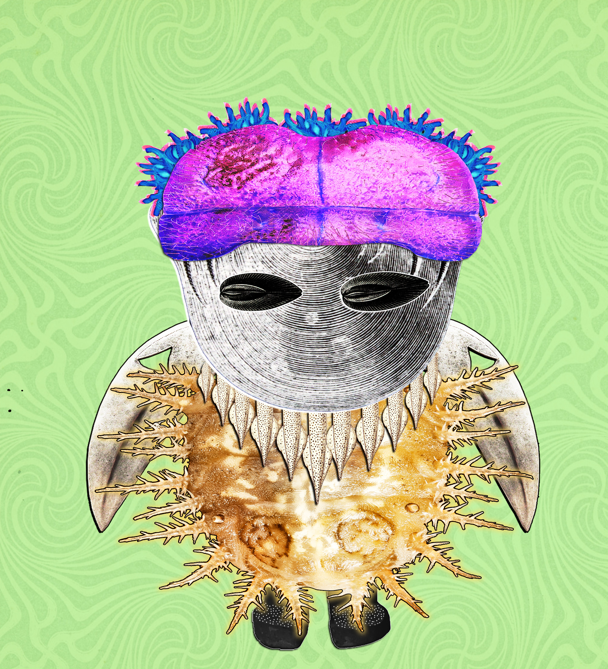 Hopium Warriors #245 NFT on Algorand