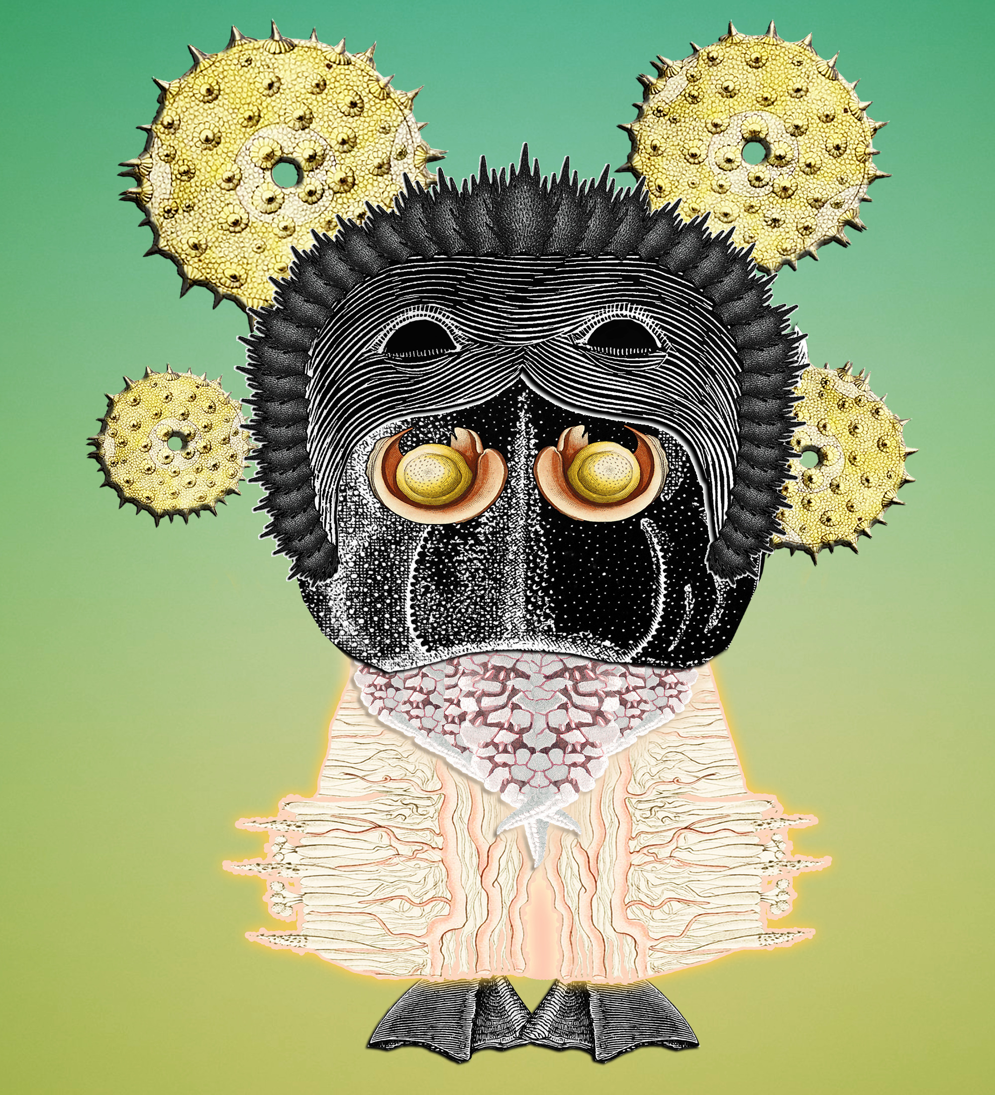 Hopium Warriors #243 NFT on Algorand