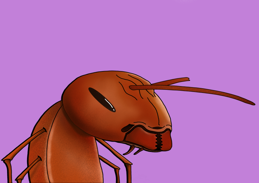 Algo Ant 581 NFT on Algorand