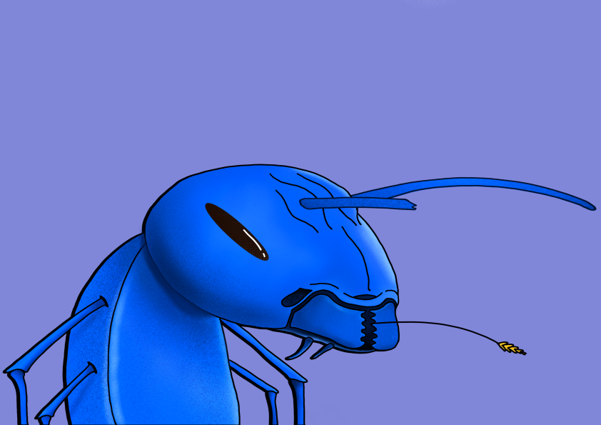 Algo Ant 236 NFT on Algorand