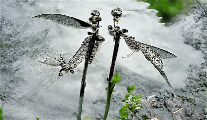 The Silver Dragonfly