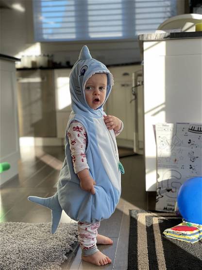 Baby shark 