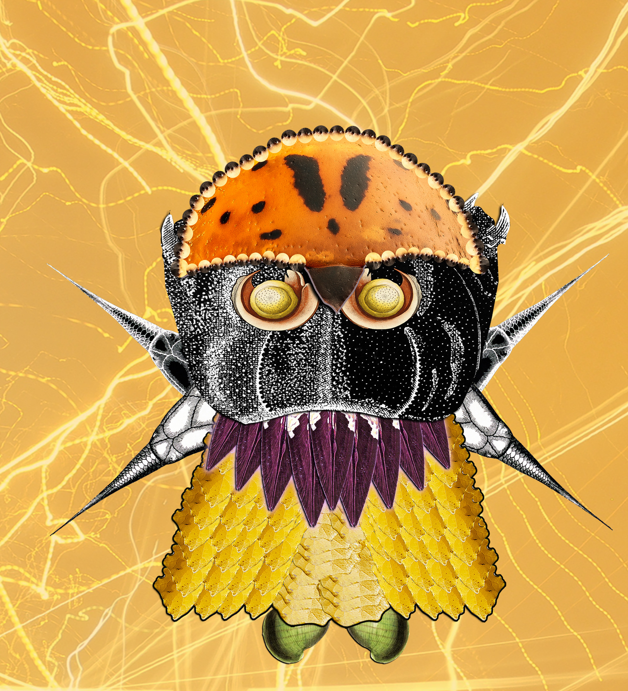 Hopium Warriors #254 NFT on Algorand