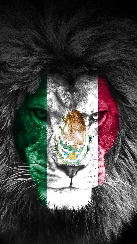 Mexico NFT on Algorand