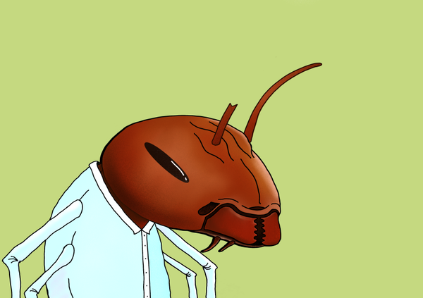 Image of Algo Ant 681